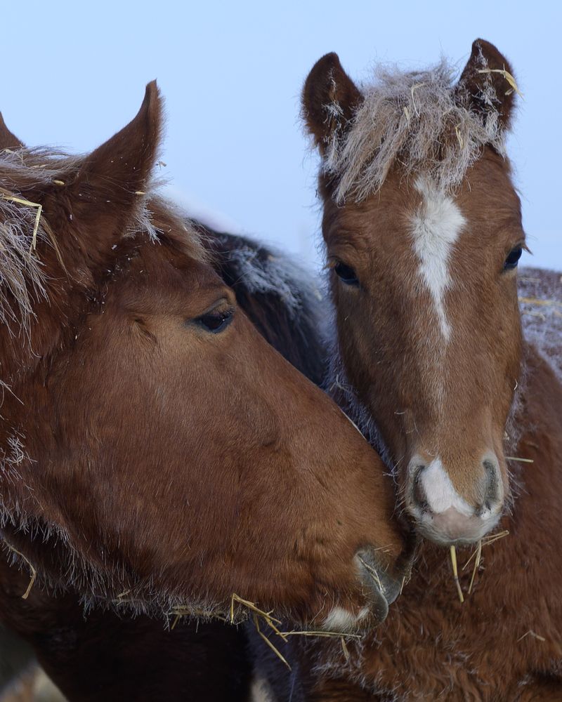 Photograph by Наталия Брянцева