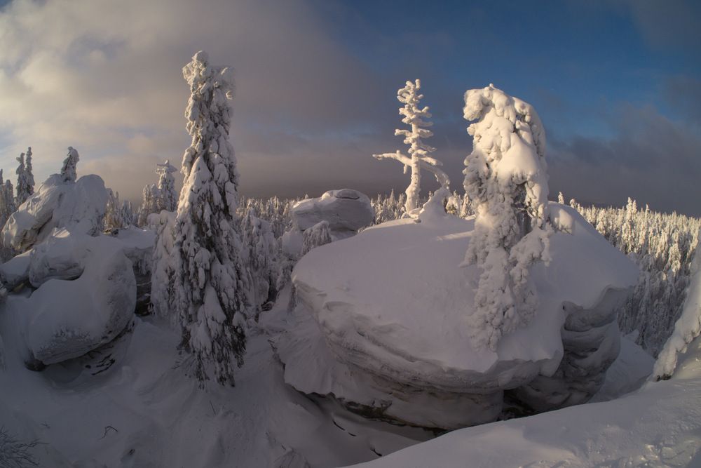 Photograph by Алексей Поляков