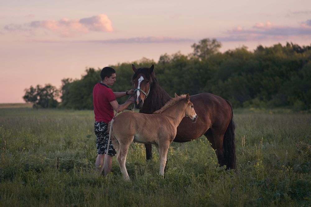 Photograph by Наталия Брянцева