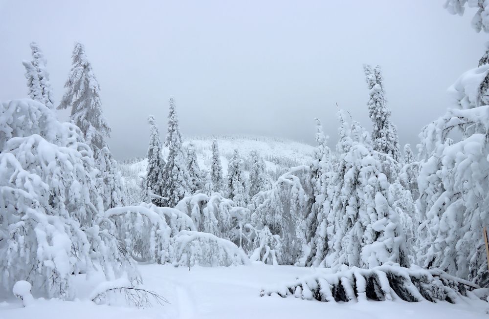 Прогулкв на г. Уван в первый день 2026 года