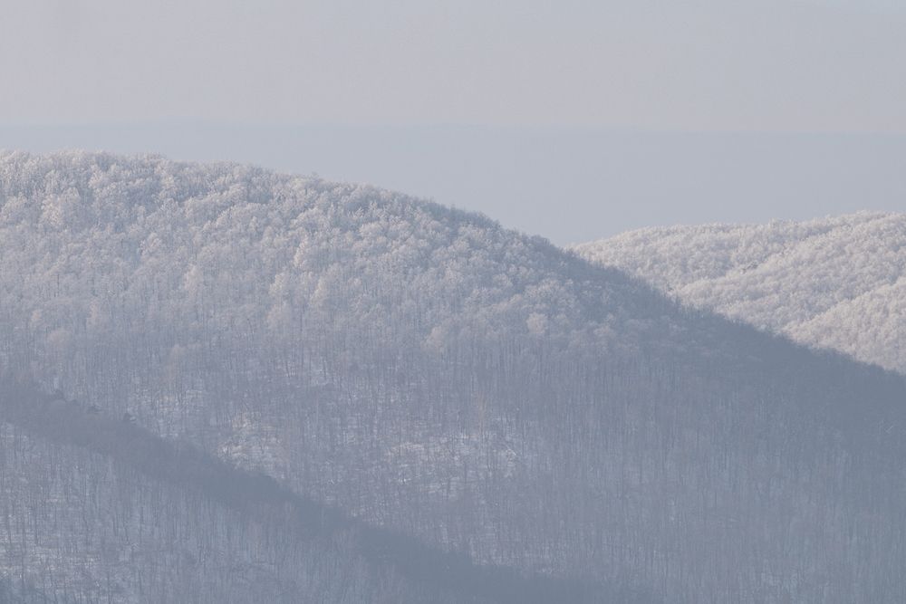 Photograph by Lapin Vitaly