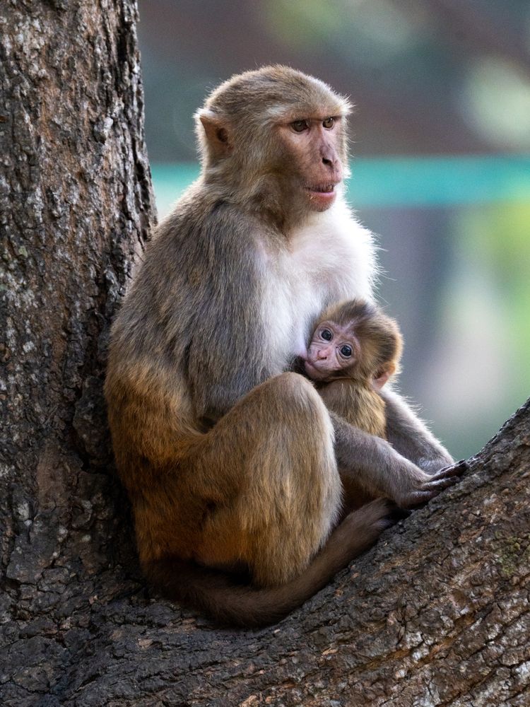 Фотография автора ANEESH BHASKARAN