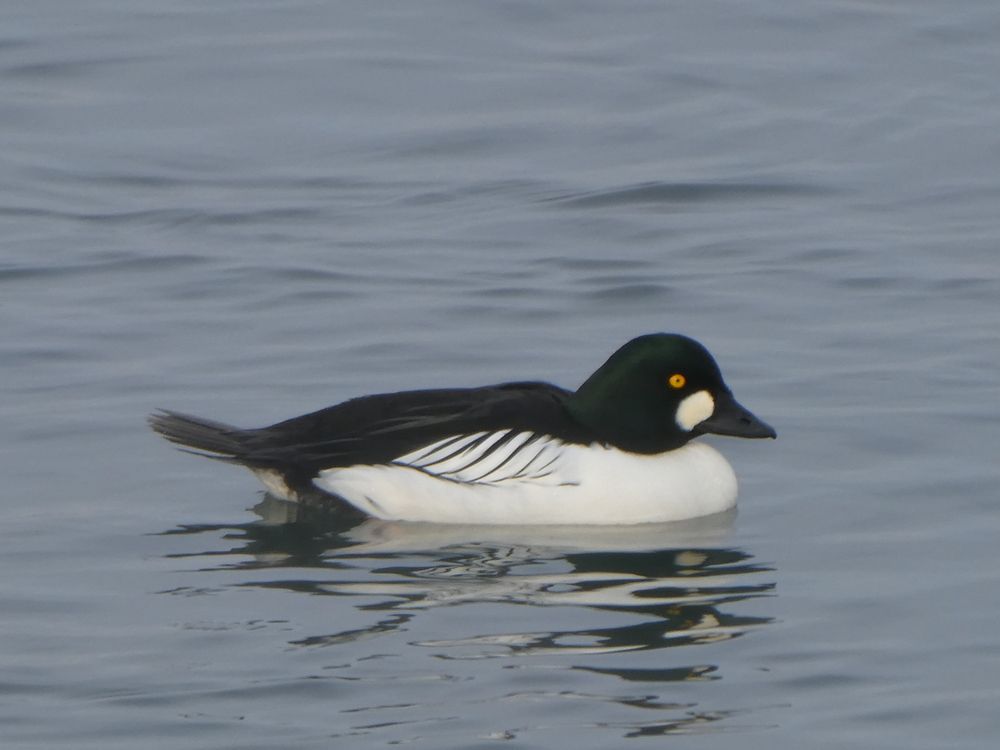 Photograph by Андрей Садчиков