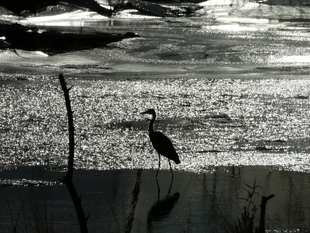 Photograph by Андрей Садчиков