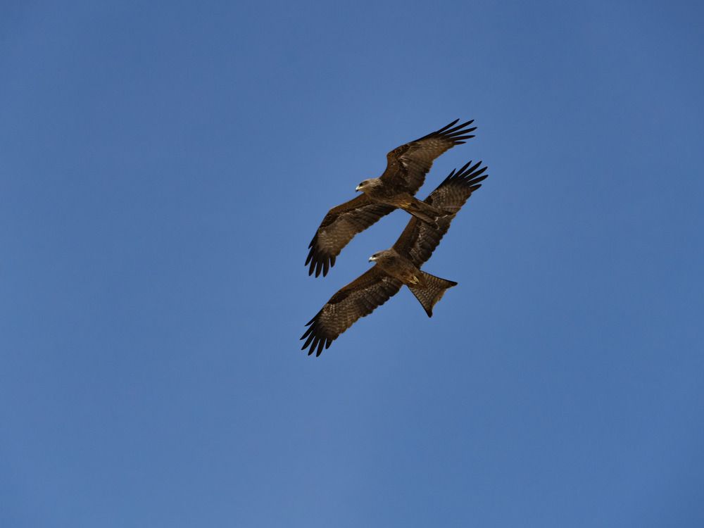 Фотография автора Kushal Lad