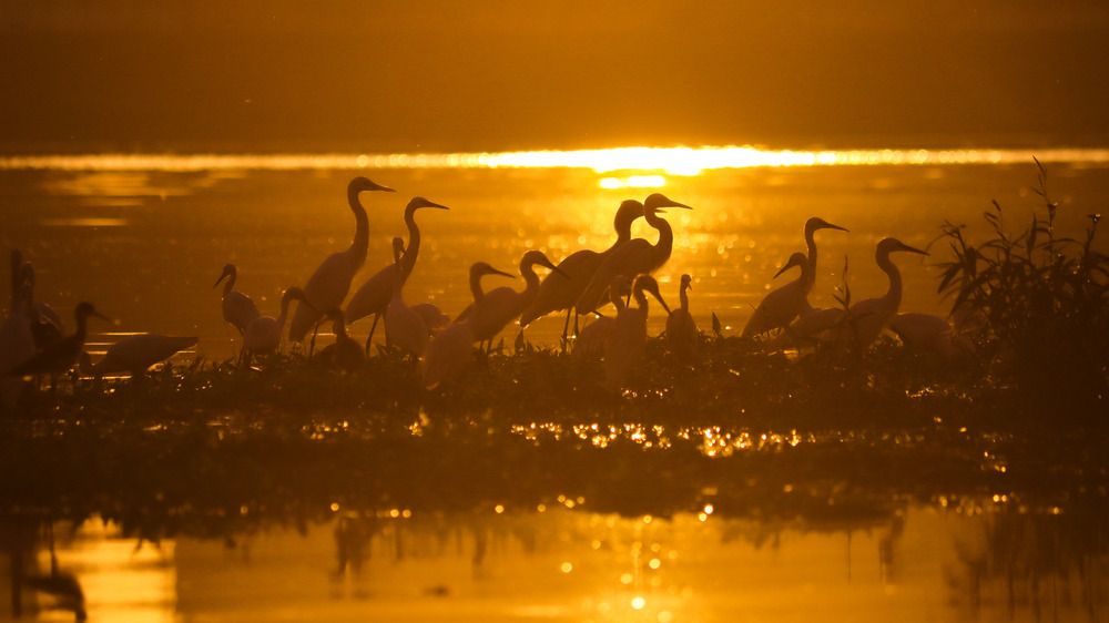 Фотография автора Kushal Lad