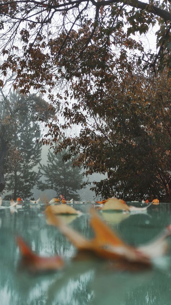 Photograph by Дарья
