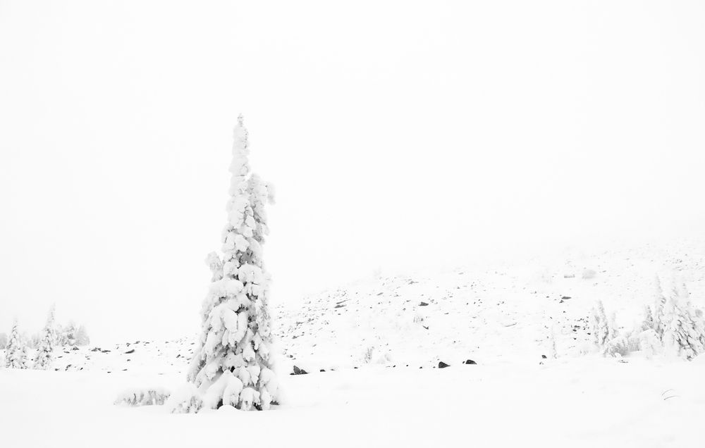 Photograph by Галина Ильясова