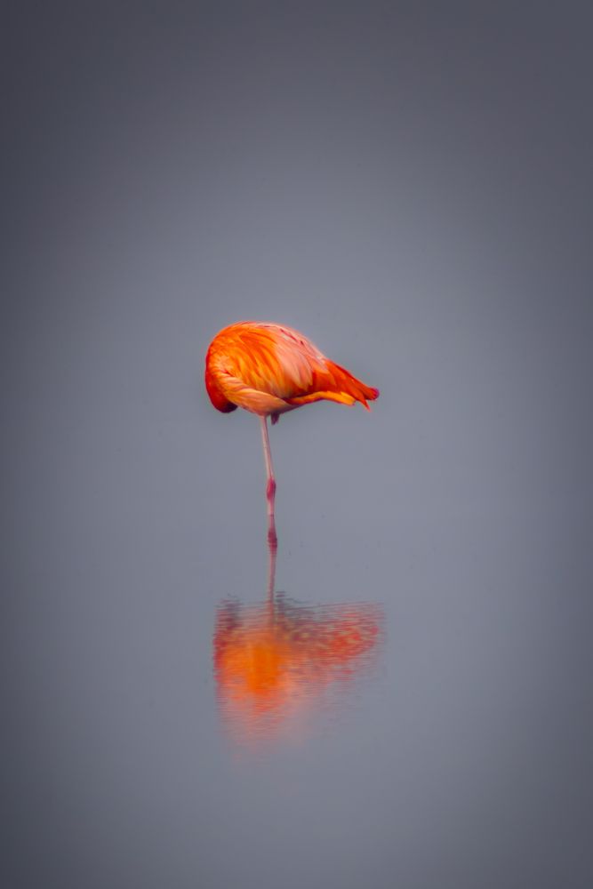 Photograph by Sarah Wilhelm