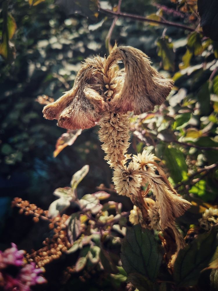 Photograph by Sayali Dani