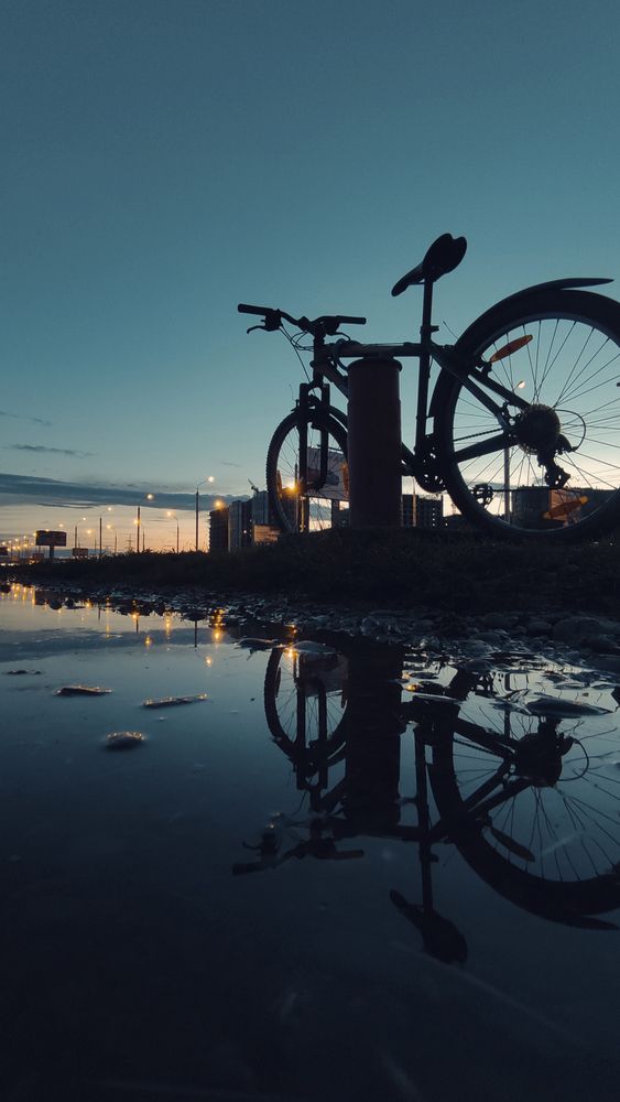 Photograph by Дарья