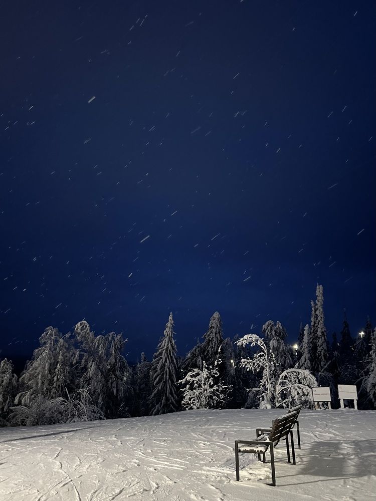 Фотография автора Полина Ишкина