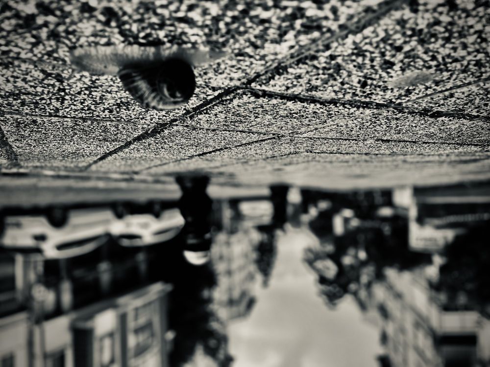 Photograph by Abdulcebbar Avcı