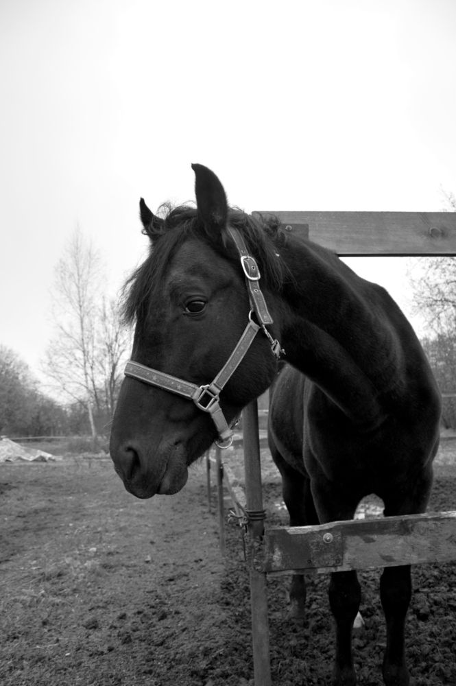 Photograph by Митюрникова Юлия