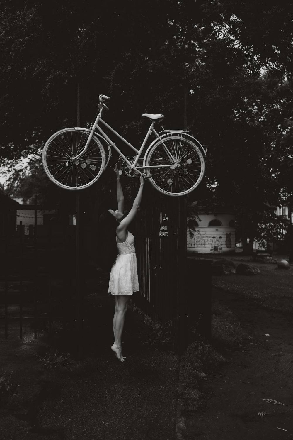 Фотография #13087940