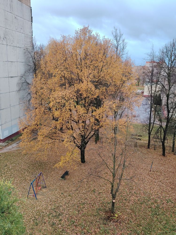 Фотография автора Мария