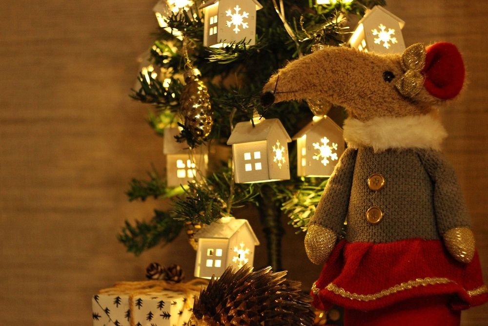 Photograph by Екатерина Солохина