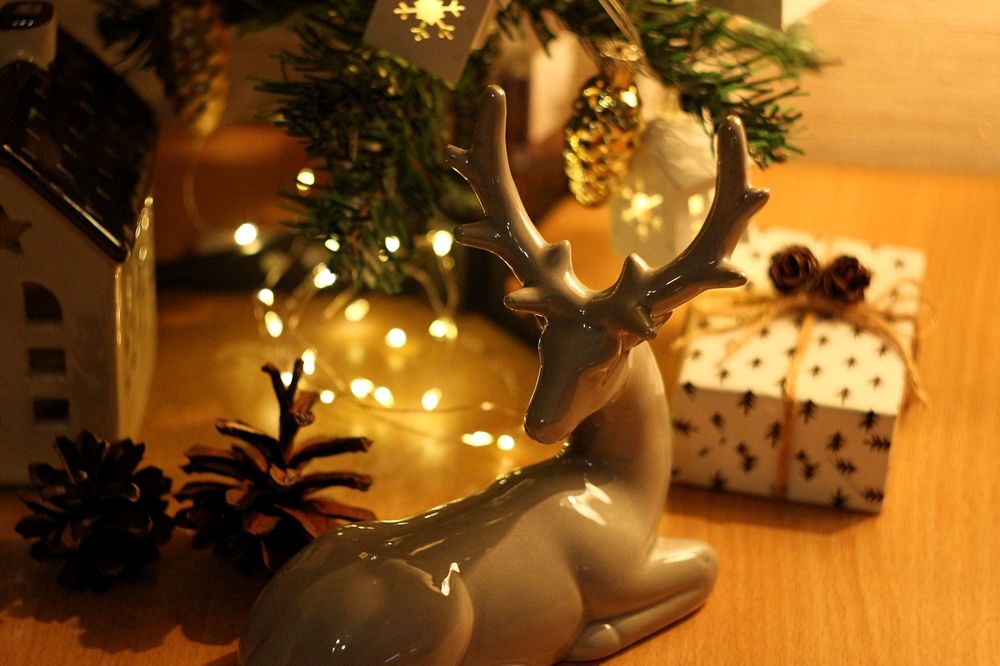 Photograph by Екатерина Солохина