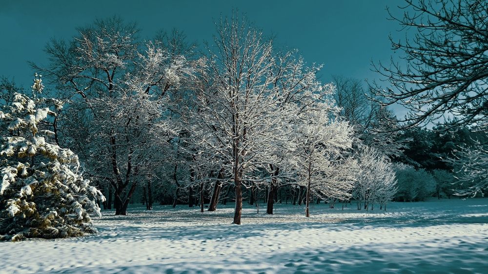 Photograph by Фартушняк Сергей