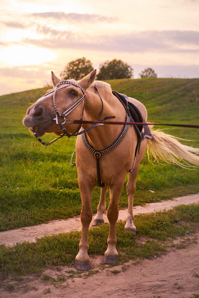 Photograph by Лидия Баженова