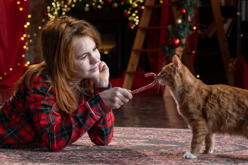 Photograph by Dina Damotseva