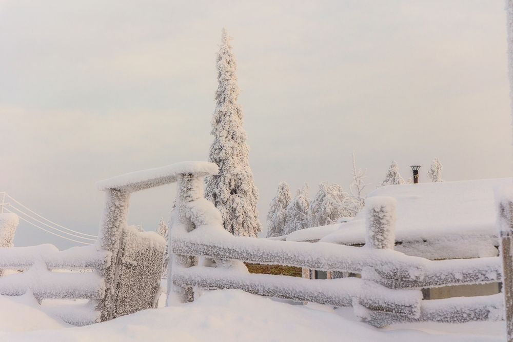 Photograph by Елена Титенская