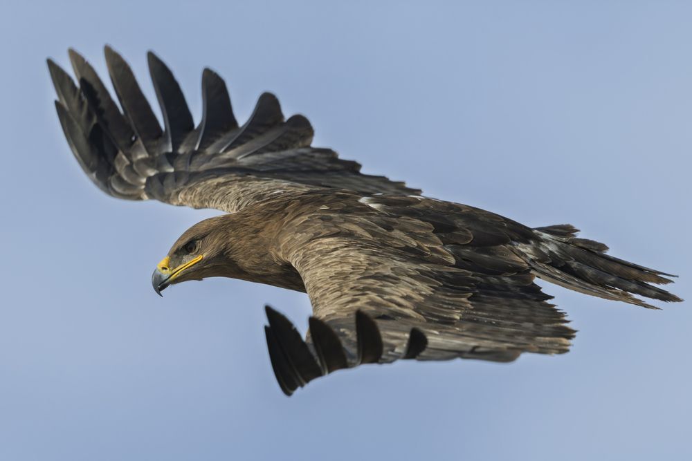 Photograph by Дмитрий Крошка