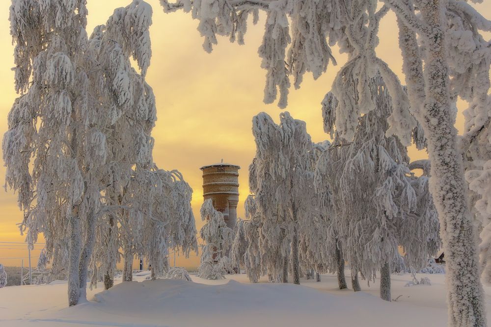 Photograph by Елена Титенская