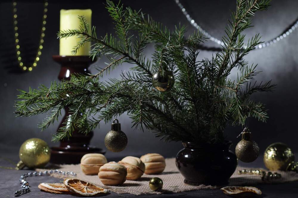 Фотография автора Людмила Таерова