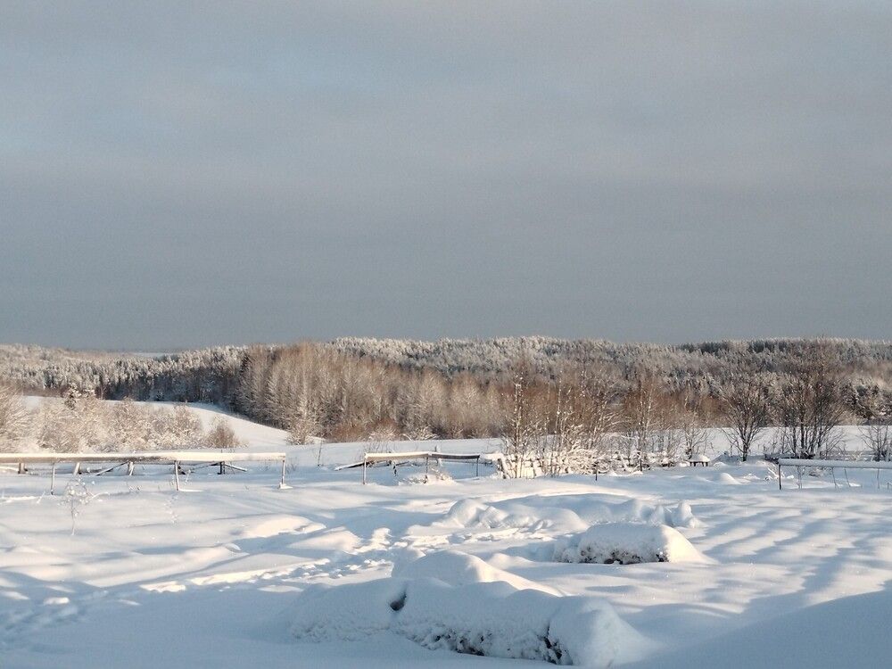 Photograph by Яна Сальникова