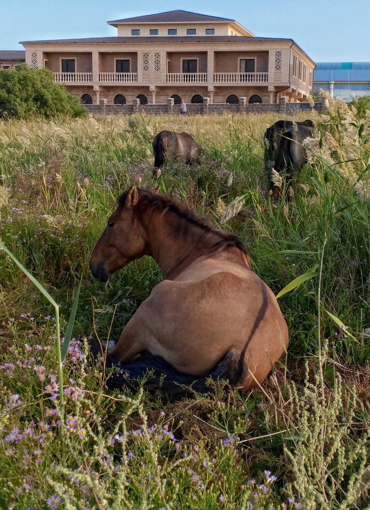 Photograph by Ольга Куцева