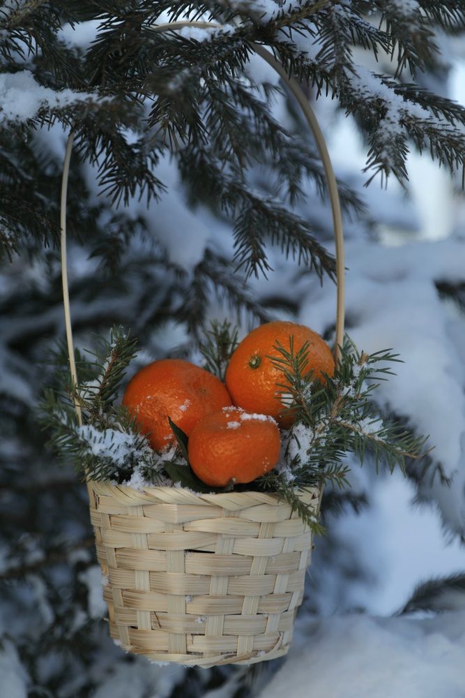 Photograph by Лариса Ким