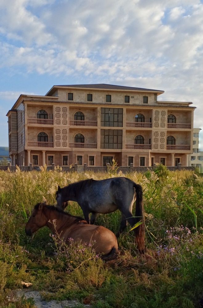 Photograph by Ольга Куцева