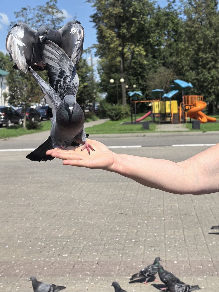 Фотография автора Татьяна Супрун