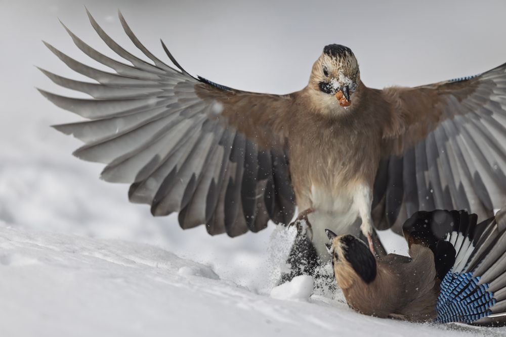 Photograph by Дмитрий Крошка