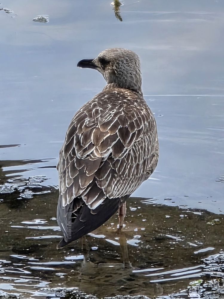 Photograph by Куделенко Оксана