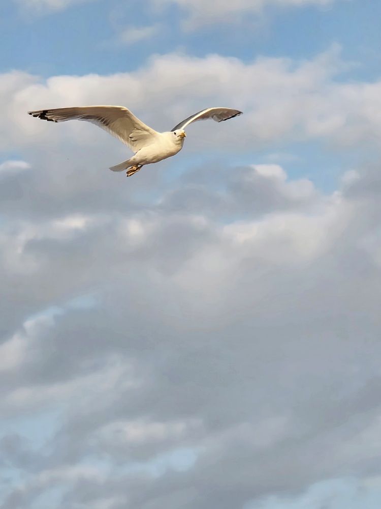 Photograph by Куделенко Оксана