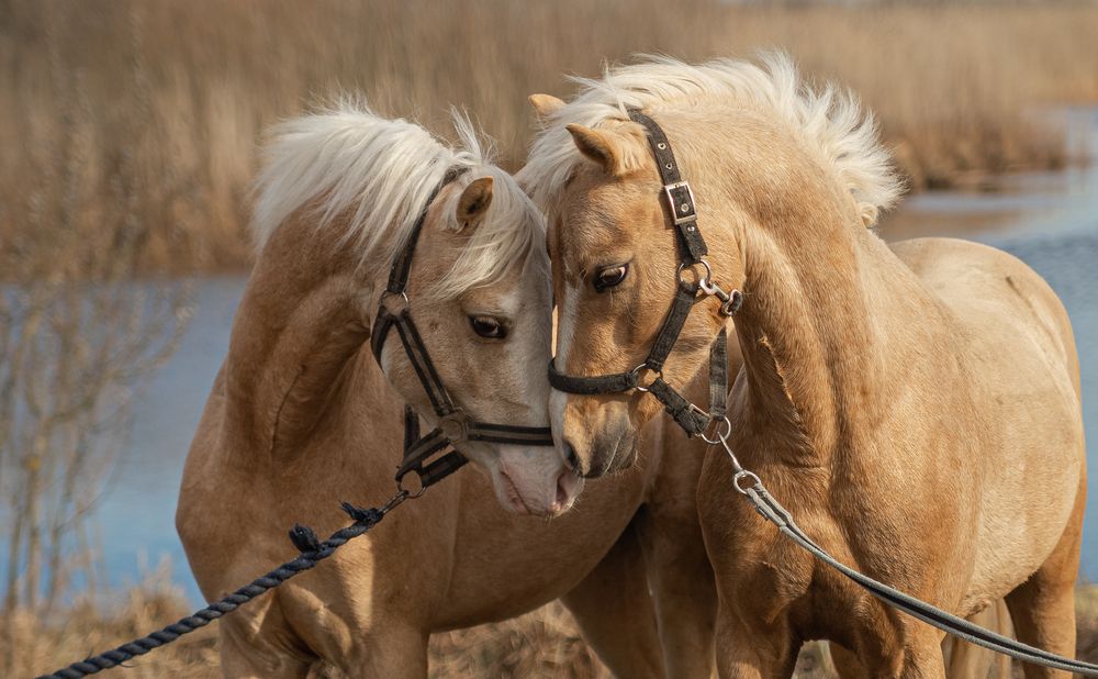 Photograph by Екатерина Родченкова