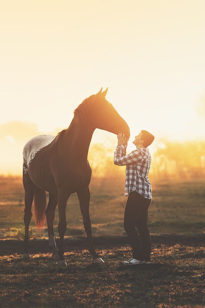 Фотография автора Elke Braet