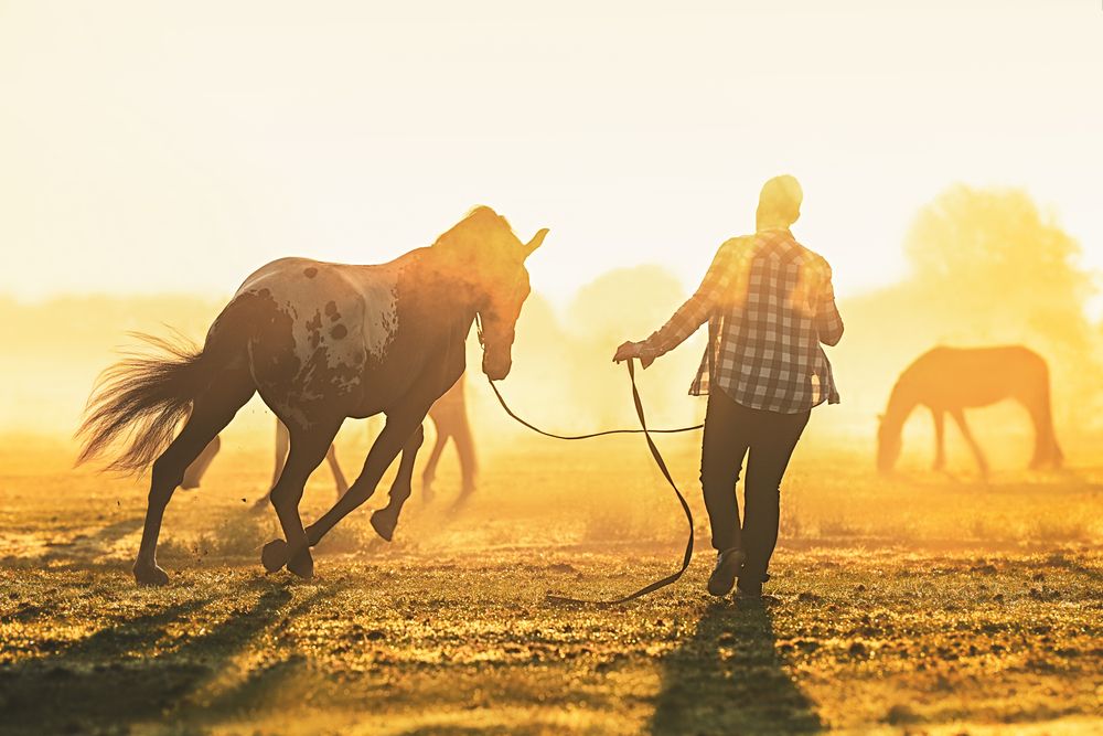 Фотография автора Elke Braet