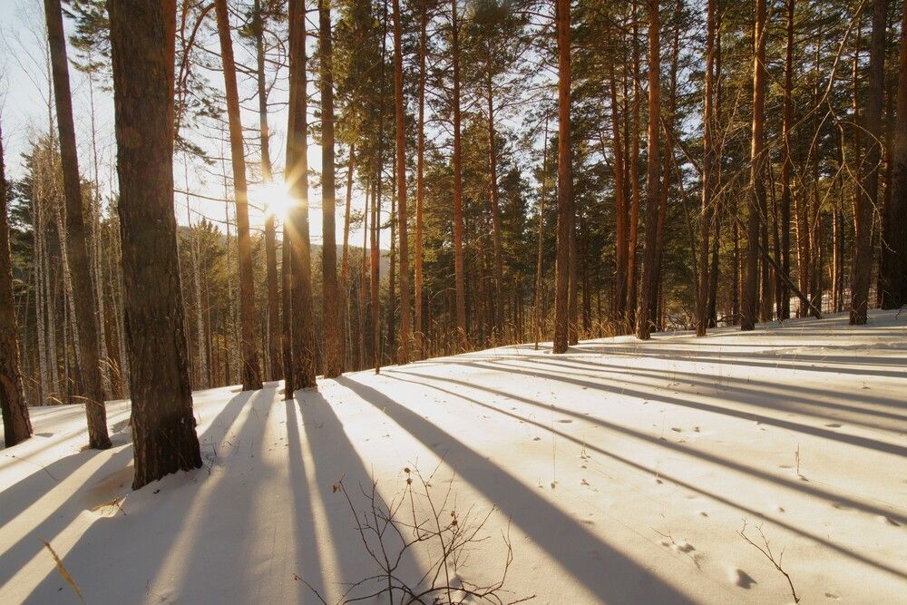 Photograph by Владимир Семиченко