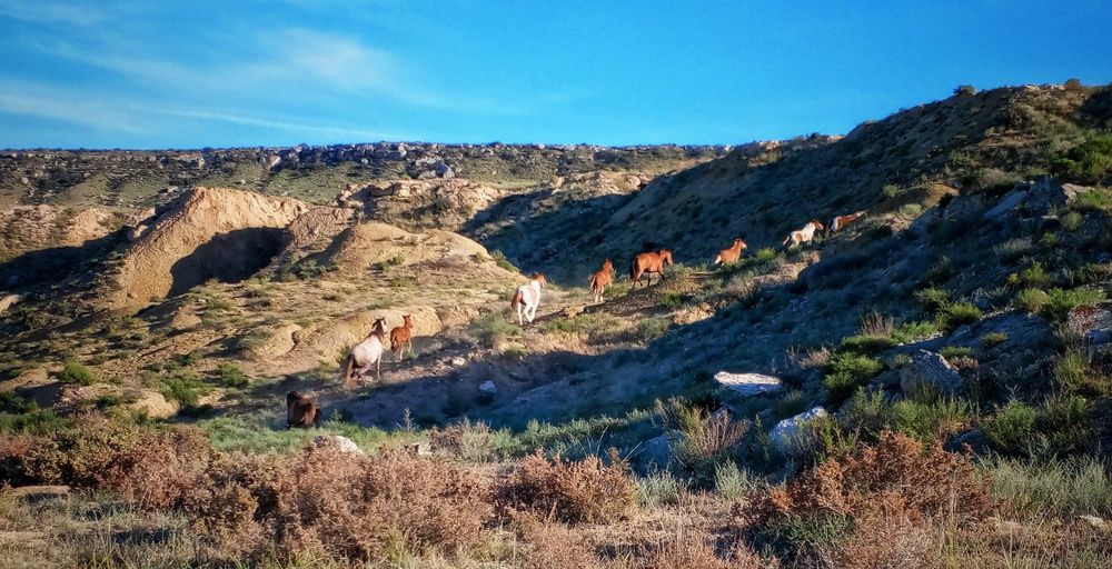 Photograph by Ольга Куцева