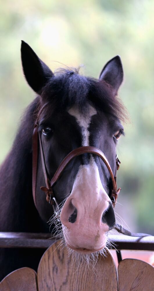 Фотография автора евгения