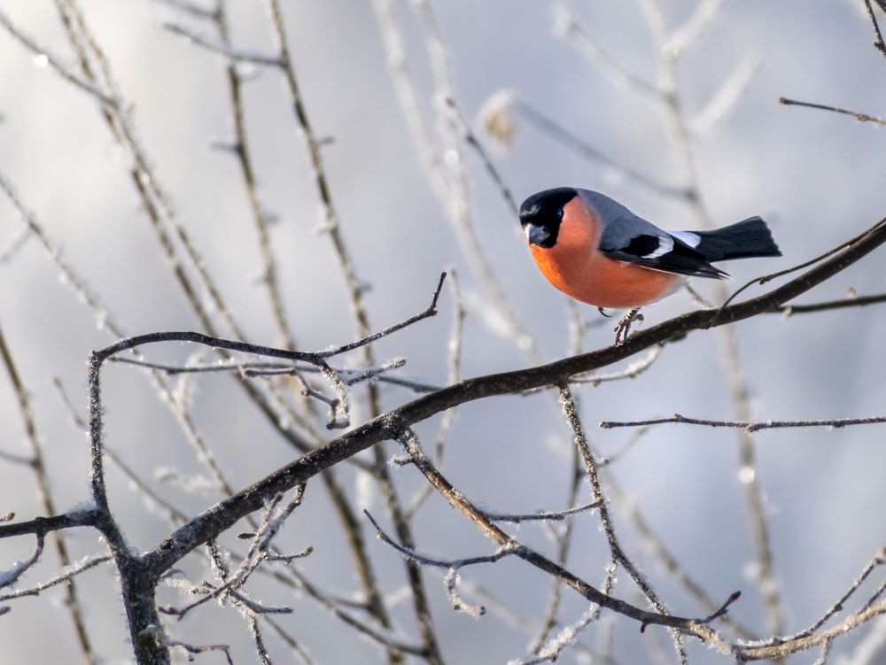 Фотография автора Margarita