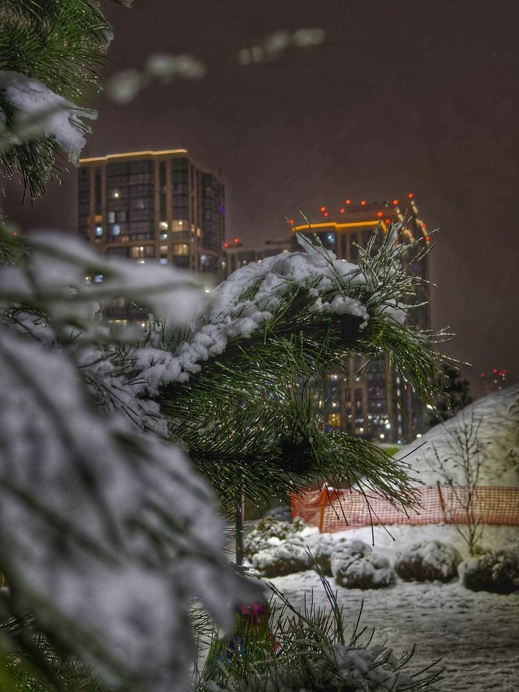 Фотография автора Евгений Былков