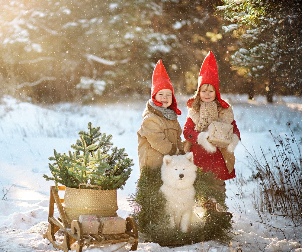 Photograph by Стрелкова Мария