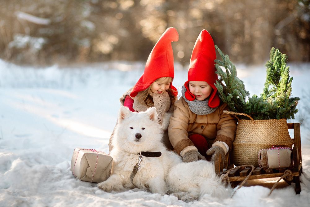 Photograph by Стрелкова Мария