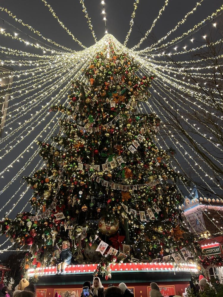 Photograph by Kira Ko