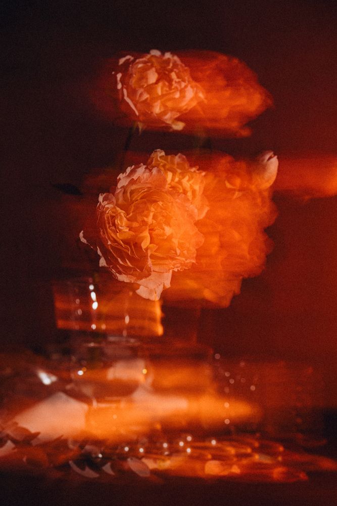 Photograph by Рыбалкина Сергеевна