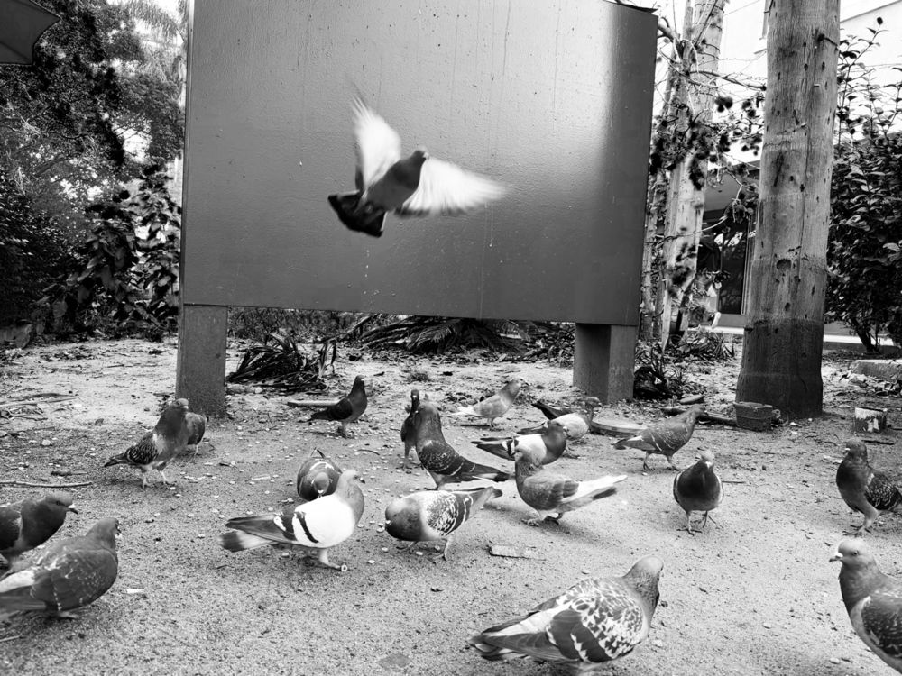 Photograph by Md.Shahrear Mostofa Romio